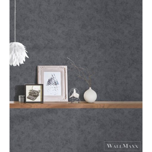 AS CREATION Black is Beautiful 11609-3 szürke natur modern tapéta