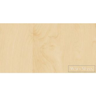 200-2875 DC-FIX ÖNTAPADÓS FÓLIA NYÍRFA 45CM X 15M