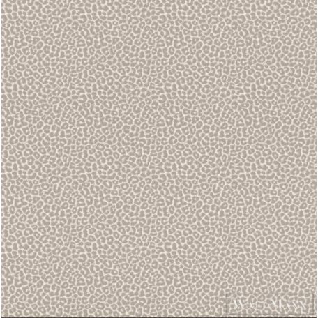 RASCH SANSA 2021 215601 DESIGN TAPÉTA