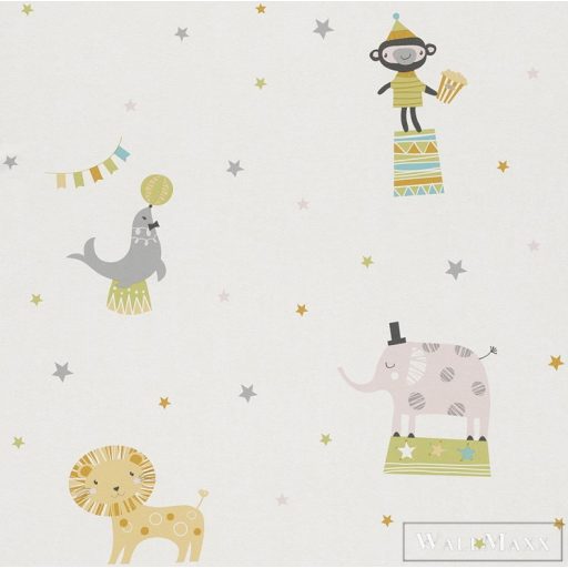 Rasch Bambino XVII 2018 Nr:245011