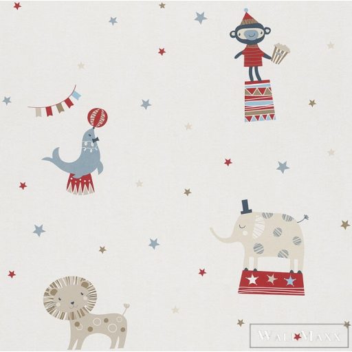 Rasch Bambino XVII 2018 Nr:245028