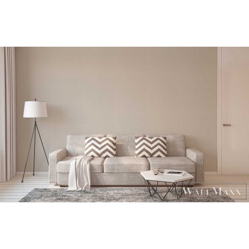 AS CREATION StyleGuide Nature 2027 29828-7 bézs uni modern,elegáns tapéta