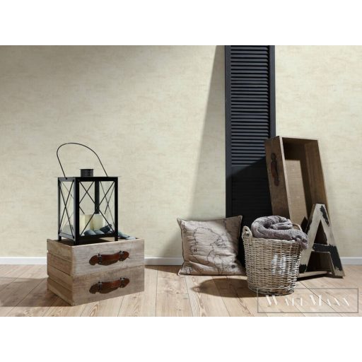 AS CREATION Elements 30668-1 bézs vakolat modern tapéta