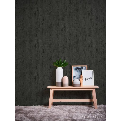 AS CREATION Trendwall 2 2024 32651-5 fekete modern tapéta