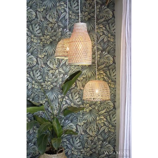 Marburg Botanica 33304 Natúra zöld filodendron mintás tapéta