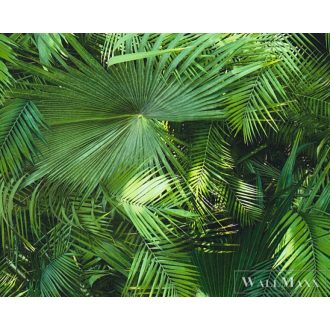 AS CREATION zöld páfrány mintás tapéta 36200-1