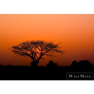   RASCH African Queen III 363647 vörös szavanna mintás Elegáns digitális panel