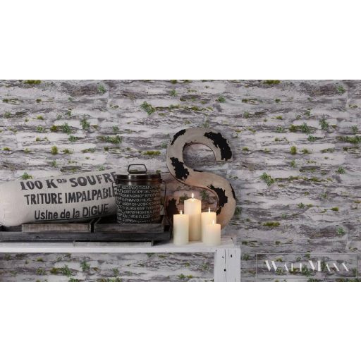 AS CREATION 36492-2 kőmintás tapéta mohás részletekkel