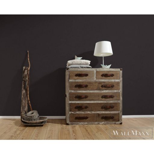 AS CREATION Black is Beautiful 36504-5 sötét csíkos modern tapéta