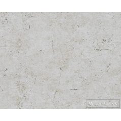   AS CREATION Beton 2 36911-2 szürke beton mintás modern tapéta