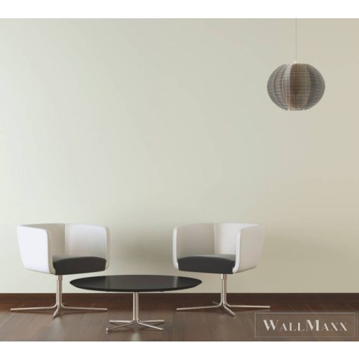 AS CREATION Trendwall 2 2024 36932-1 fehér design tapéta