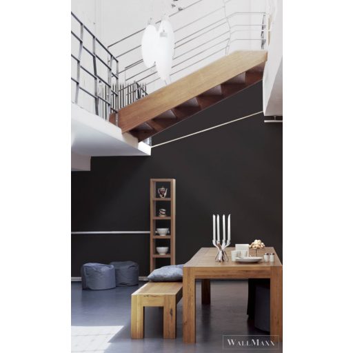 AS CREATION Trendwall 2 2024 36932-2 fekete design tapéta