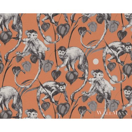 AS CREATION Change is Good 37982-4 szürke majmos tapéta