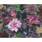 AS CREATION Dream Flowery 38175-6 kék sötét alapon virágmintás  tapéta virág színkavalkád
