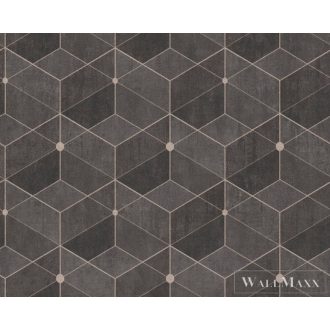   AS Creation Titanium 3 38202-4 barna Tér-hatású 3D-mintás Grafikus tapéta
