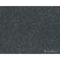   AS Creation Titanium 3 38203-5 fekete, barna Fém-hatású Modern tapéta