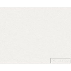   AS CREATION MeisterVlies Create 38981-7 fehér gipsz mintás festhető tapéta