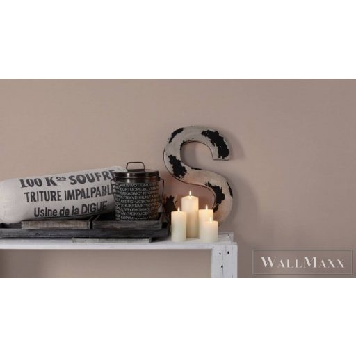 AS CREATION Antigua 39097-1 bézs Egyszínű Grafikus vlies tapéta