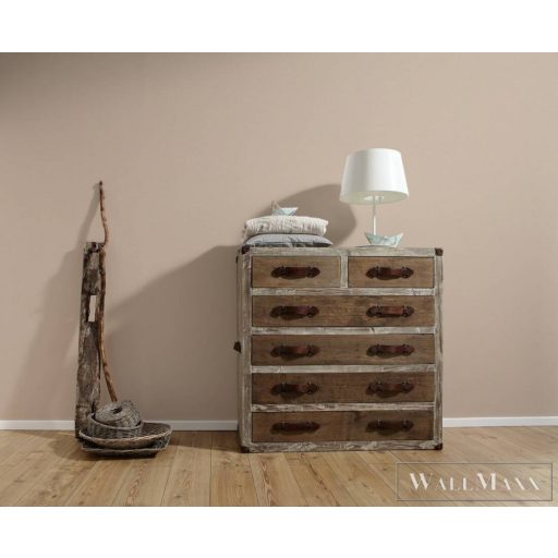 AS CREATION Antigua 39097-1 bézs Egyszínű Grafikus vlies tapéta