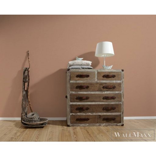 AS CREATION Antigua 39097-2 bézs, barna Egyszínű Grafikus vlies tapéta