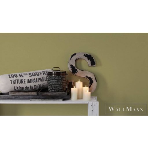 AS CREATION 39097-4 zöld Egyszínű Grafikus vlies tapéta