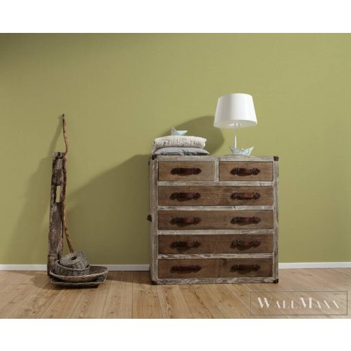 AS CREATION 39097-4 zöld Egyszínű Grafikus vlies tapéta