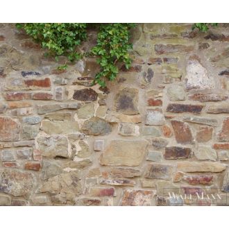   AS CREATION The Wall 2 39247-1 krémszínű repkény mintás térhatású digitális panel