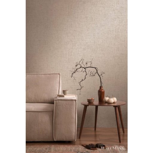 AS CREATION Smart Surfaces 39564-3 bézs absztrakt modern tapéta