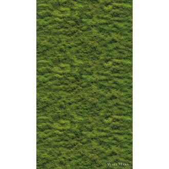  AS CREATION The Wall 3 39839-1 zöld mohás modern,elegáns digitális panel