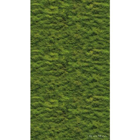 AS CREATION The Wall 3 39839-1 zöld mohás modern,elegáns digitális panel