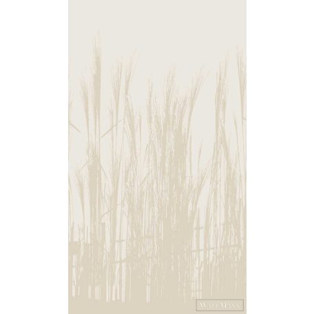AS CREATION The Wall 3 39878-1 bézs nádas modern,elegáns digitális panel