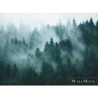   AS CREATION The Wall 3 39898-1 kék ködvilág modern,elegáns digitális panel