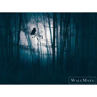   AS CREATION The Wall 3 39909-1 kék baglyas modern,elegáns digitális panel