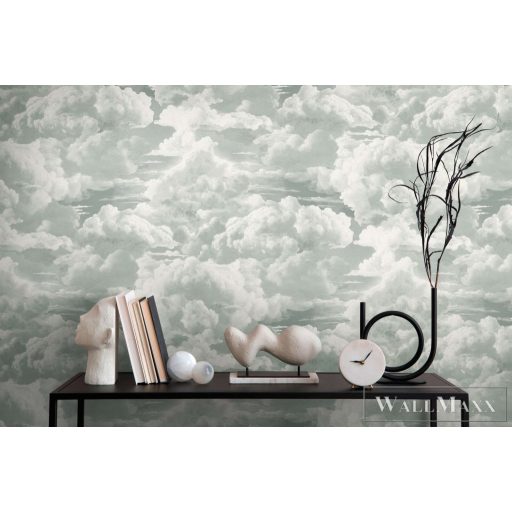 AS CREATION Michalsky 6 39985-1 ezüstös Térhatás Modern tapéta