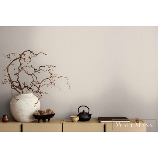 AS CREATION Michalsky 6 39986-2 bézs Uni Klasszikus tapéta