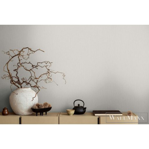 AS CREATION Michalsky 6 39986-3 bézs Uni Klasszikus tapéta