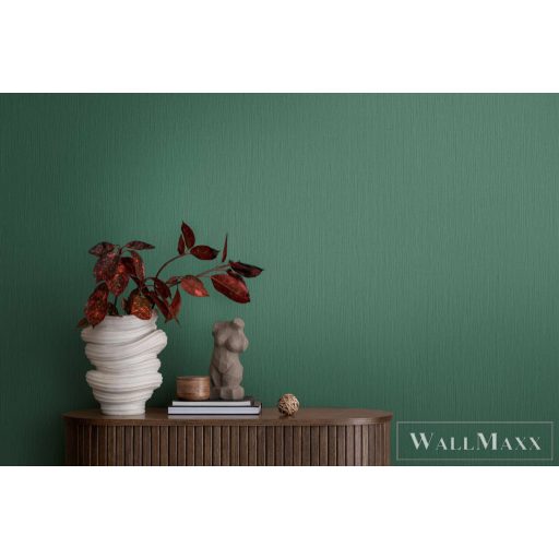 AS CREATION Michalsky 6 39986-4 zöld Uni Klasszikus tapéta