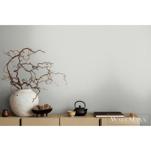 AS CREATION Michalsky 6 39986-6 bézs Uni Klasszikus tapéta