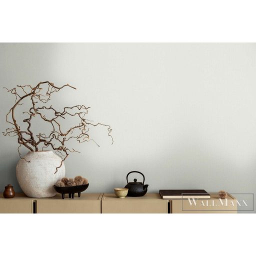 AS CREATION Michalsky 6 39986-9 ezüstös Uni Klasszikus tapéta