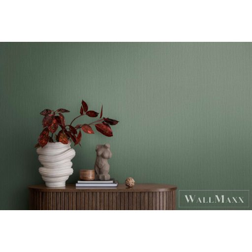 AS CREATION Michalsky 6 39987-4 zöld Uni Klasszikus tapéta