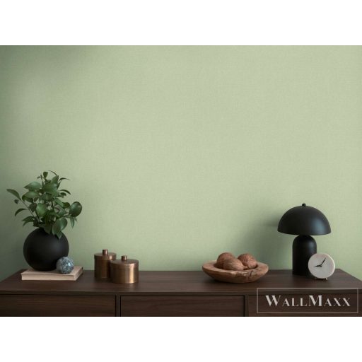 AS CREATION Michalsky 6 39988-6 zöld Uni Klasszikus tapéta