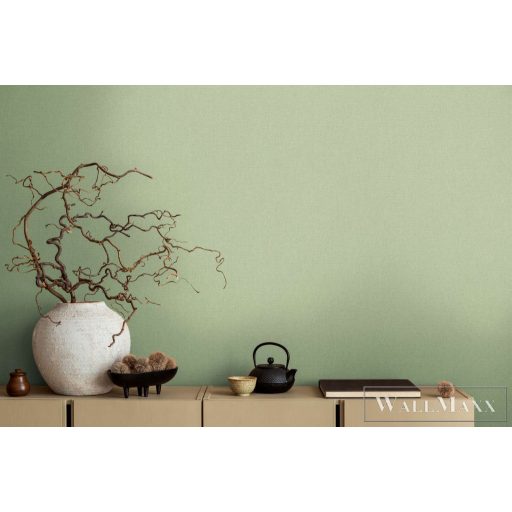 AS CREATION Michalsky 6 39988-6 zöld Uni Klasszikus tapéta