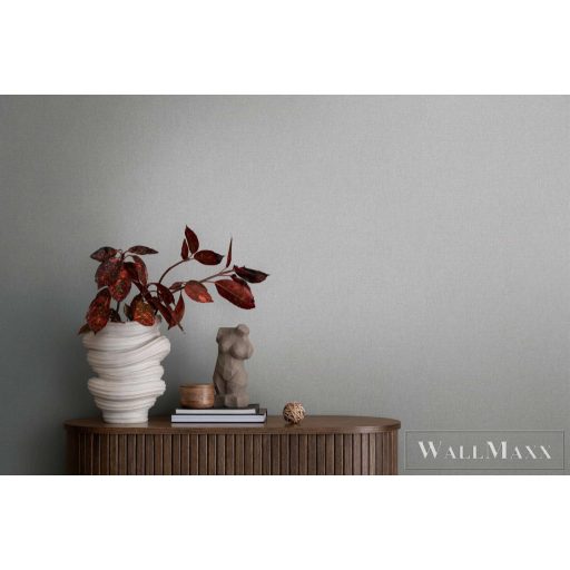 AS CREATION Michalsky 6 39989-1 ezüstös Uni Klasszikus tapéta