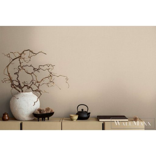 AS CREATION Michalsky 6 39989-2 bézs Uni Klasszikus tapéta