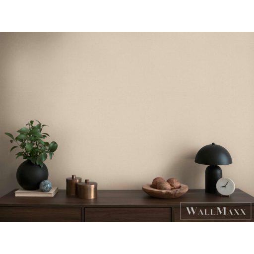 AS CREATION Michalsky 6 39989-2 bézs Uni Klasszikus tapéta