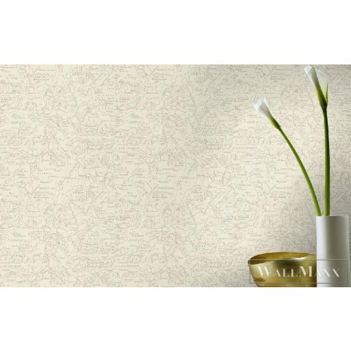 424508 térkép mintás tapéta