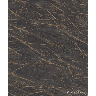 RASCH FACTORY IV 428964 FEKETE, ARANY TAPÉTA