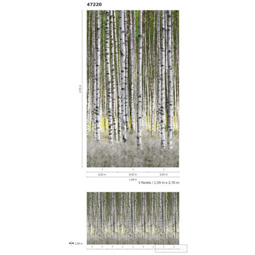 Marburg Smart Art Easy 47220 Natúra zöld nyírfa mintás digitális panel