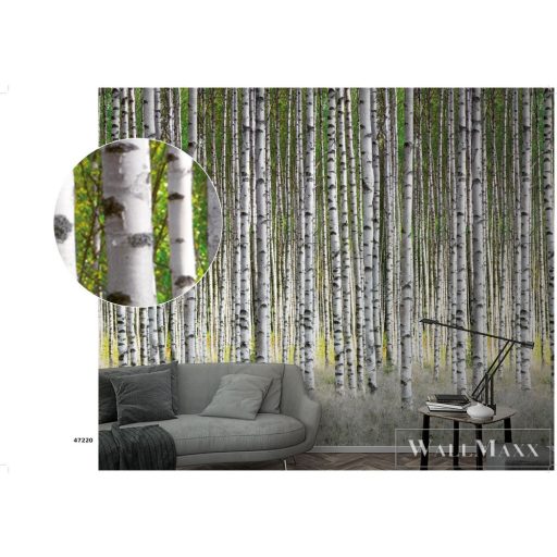 Marburg Smart Art Easy 47220 Natúra zöld nyírfa mintás digitális panel