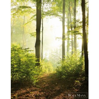   Marburg Smart Art Easy 47221 Natúra zöld erdő mintás digitális panel